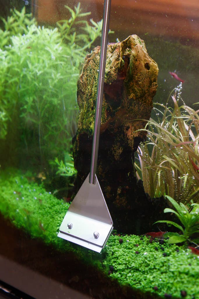 Stainless Steel Algae Scraper view 5