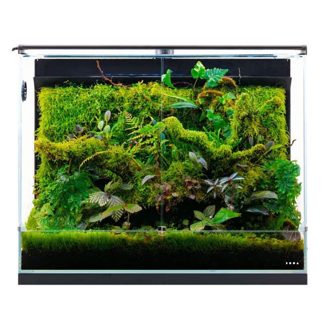 AFN Paluda System 60 view 3