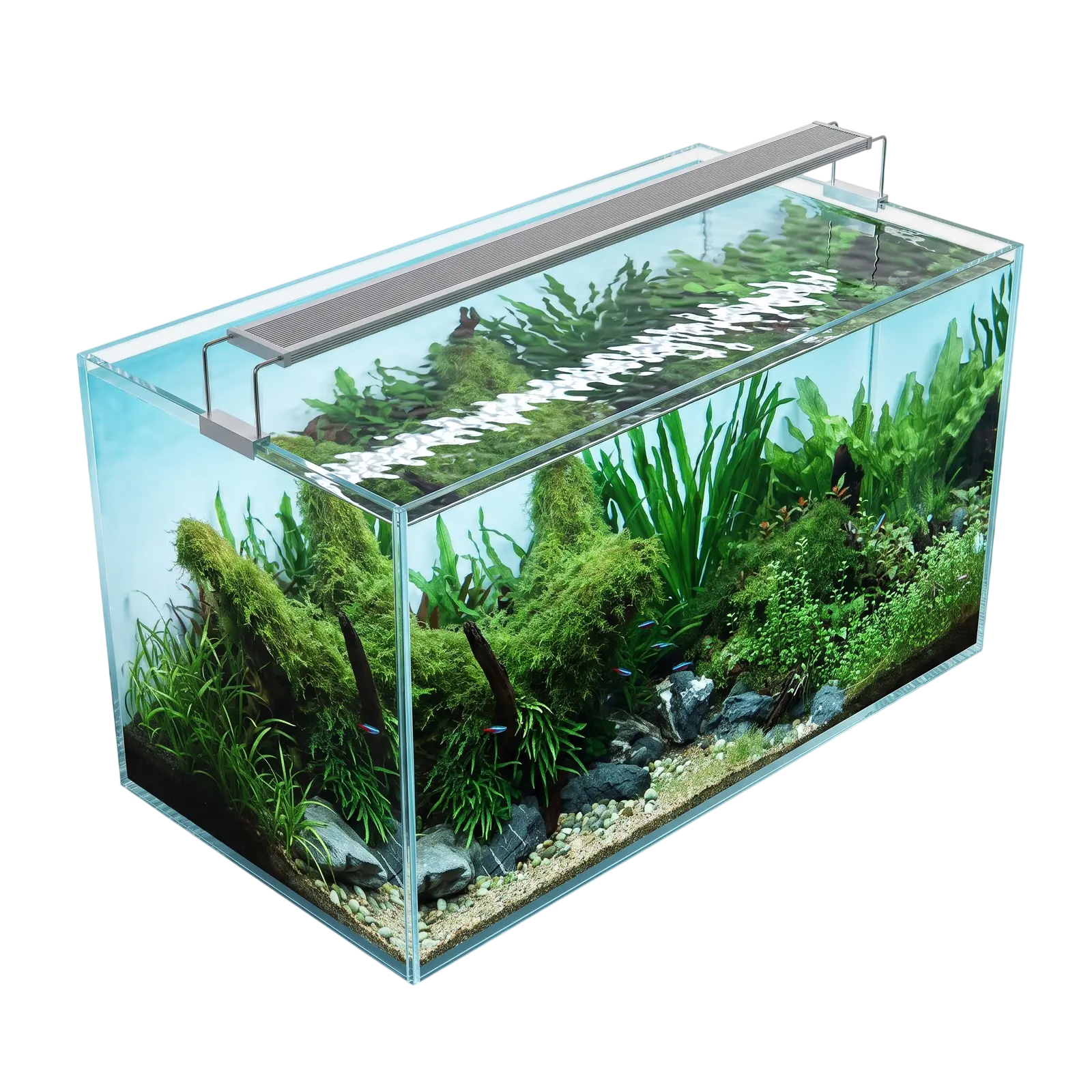 Nature Aquarium