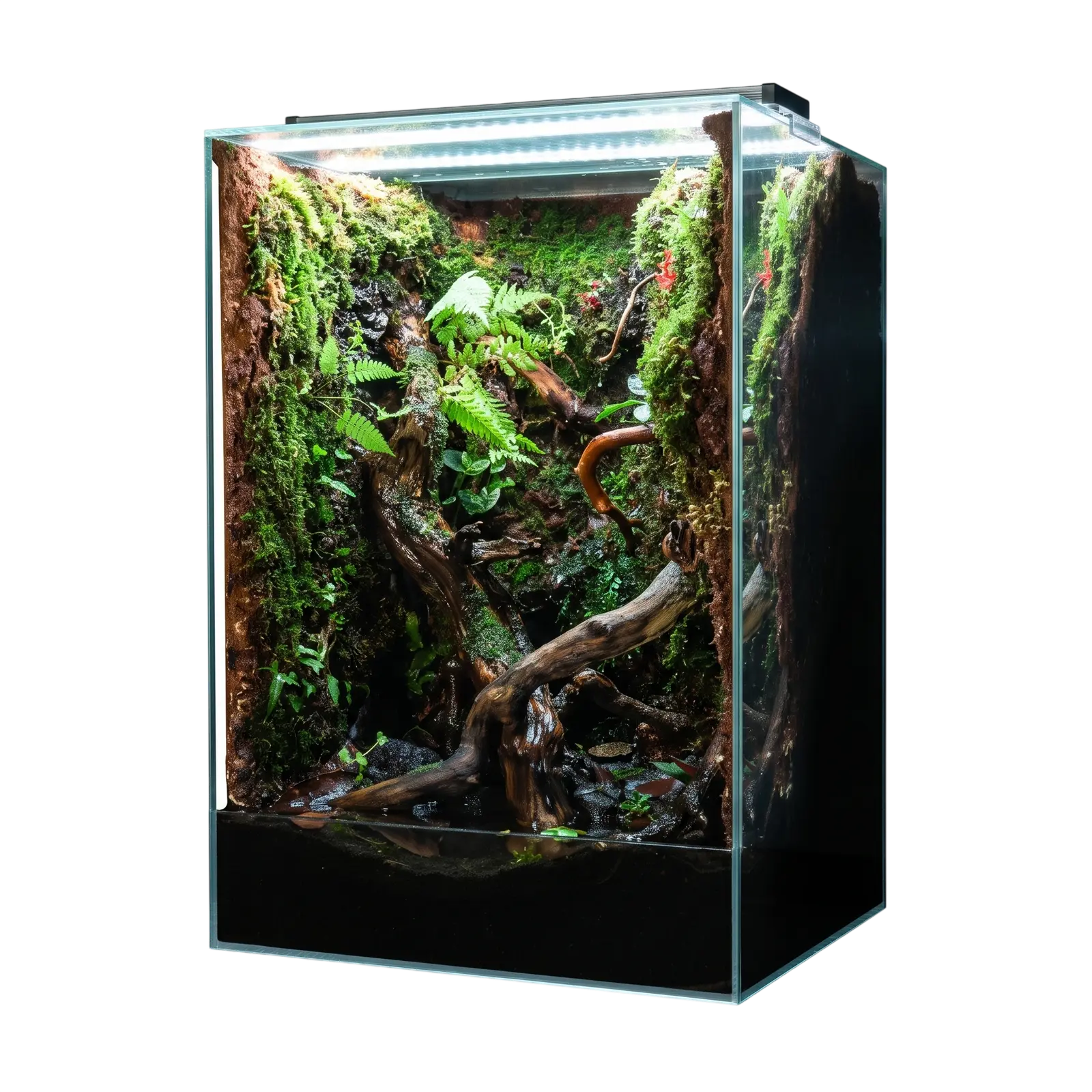 Paludarium