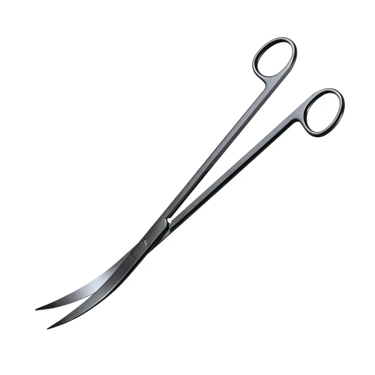 Curved Stainless Steel Aquascape Scissors