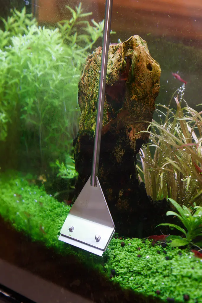 Stainless Steel Algae Scraper view 5