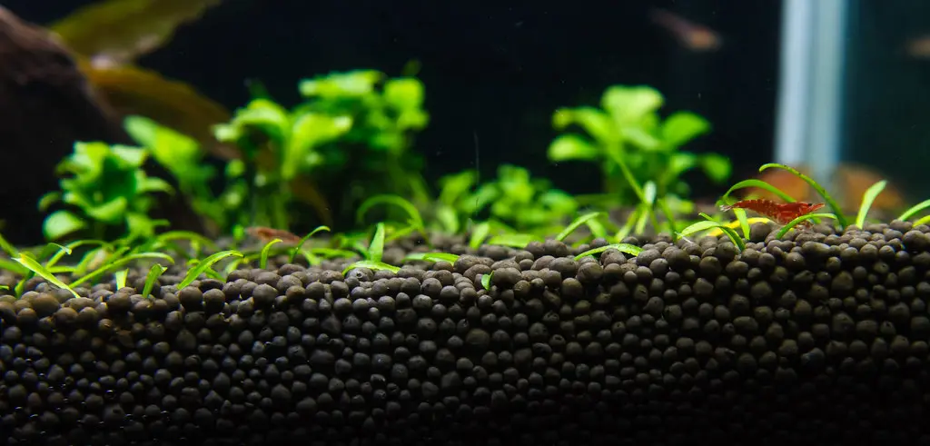 TCFM Eco Soil Plus 8l alternate view