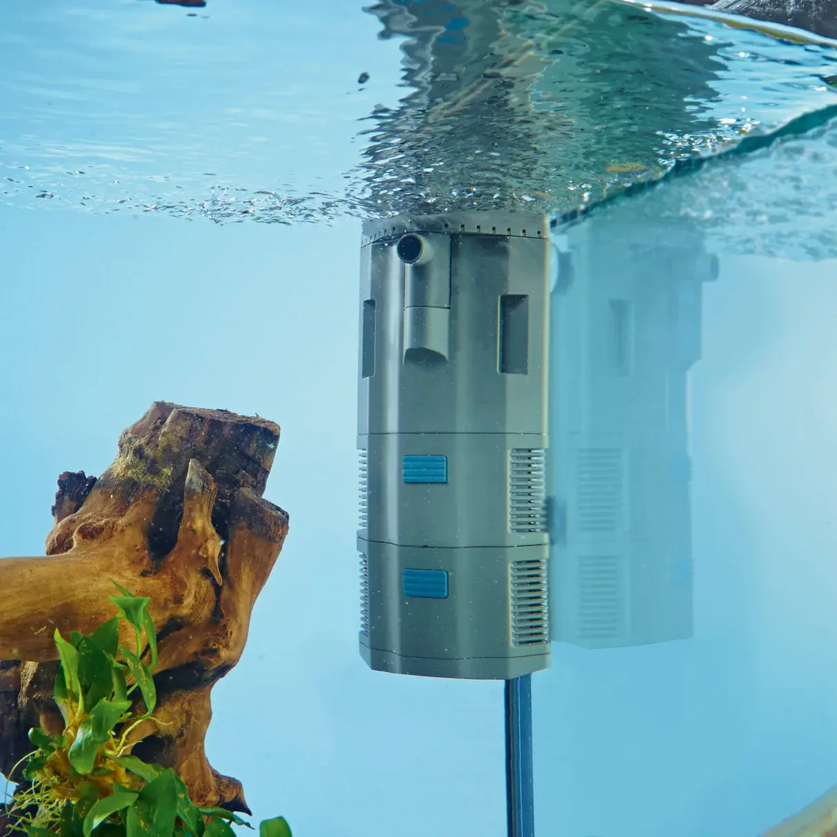 Oase BioPlus Thermo 100 view 4