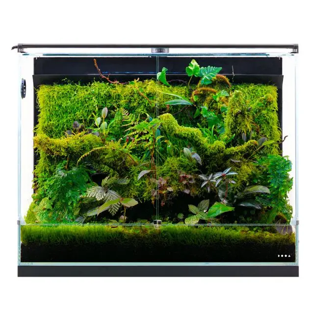 AFN Paluda System 60 alternate view