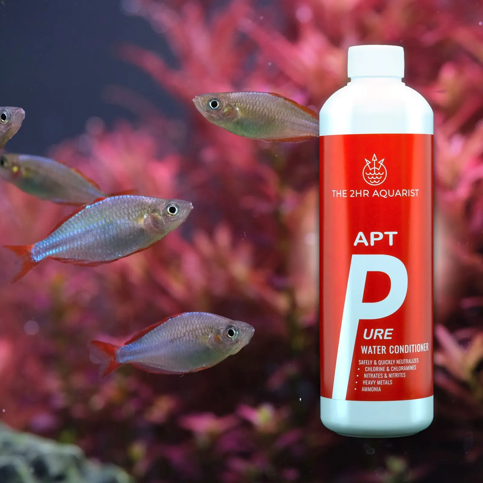 2Hr Aquarist APT Pure view 5