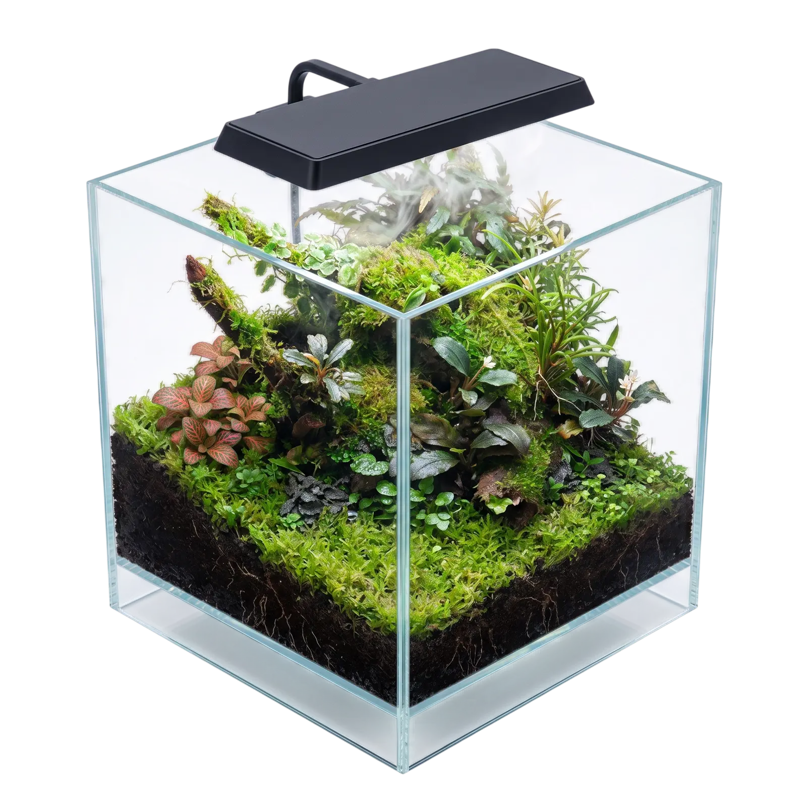 Terrarium